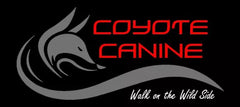Coyote Canine
