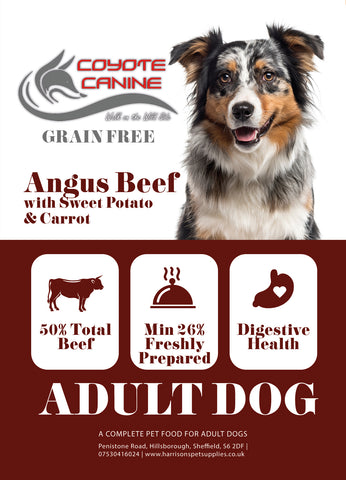 Coyote Canine Grain Free Angus Beef, Sweet Potato & Carrot