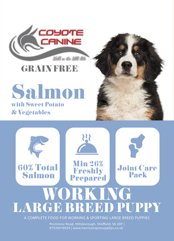 Coyote Canine Grain Free Puppy/Junior Large Breed, Salmon, Sweet Potato & Vegetables