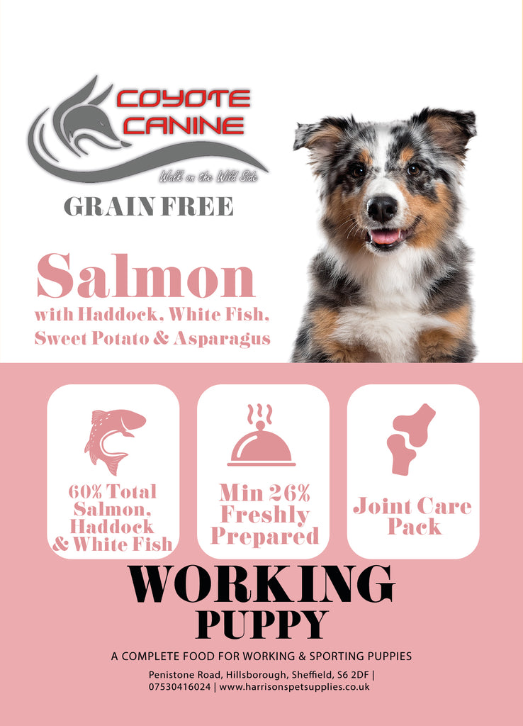 Coyote Canine Grain Free Puppy Salmon, Haddock & Blue Whiting