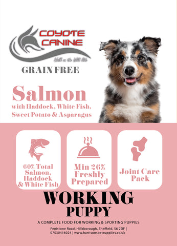 Coyote Canine Grain Free Puppy Salmon, Haddock & Blue Whiting
