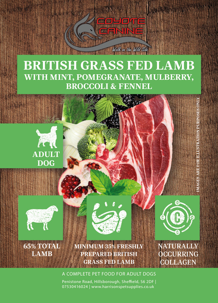 Coyote Canine Superfood English Grass-Fed Lamb with Mint, Pomegranate, Mulberry, Broccoli & Fennel 12kg