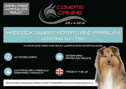 Coyote Canine Grain Free Haddock, Sweet Potato & Parsley - Harrison's Pet Supplies